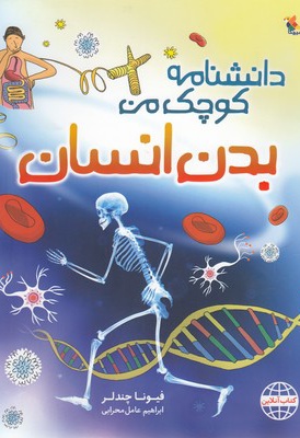 بدن انسان